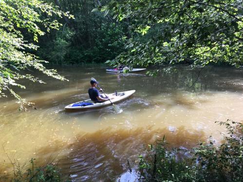 A person paddles a kayak on a calm, muddy river surrounded by lush greenery.