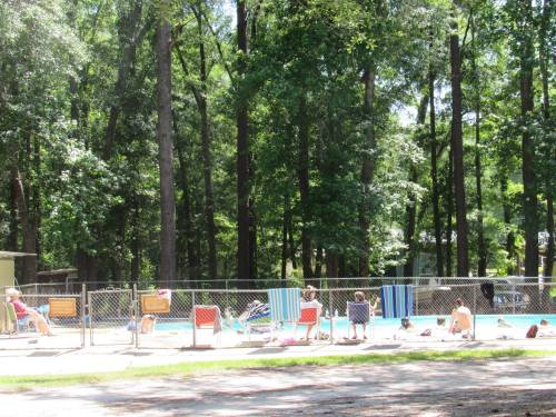 A sunny pool area surrounded by trees, with people relaxing on lounge chairs and swimming in the water.