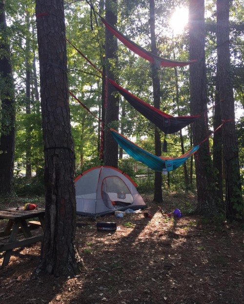 A campsite in a forest with a tent and three hammocks suspended between trees, sunlight filtering through the leaves.