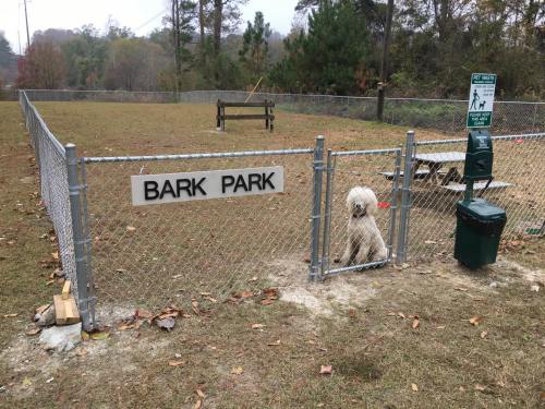 A fenced dog park with a sign reading "Bark Park" and a dog standing by the gate, surrounded by trees and grass.
