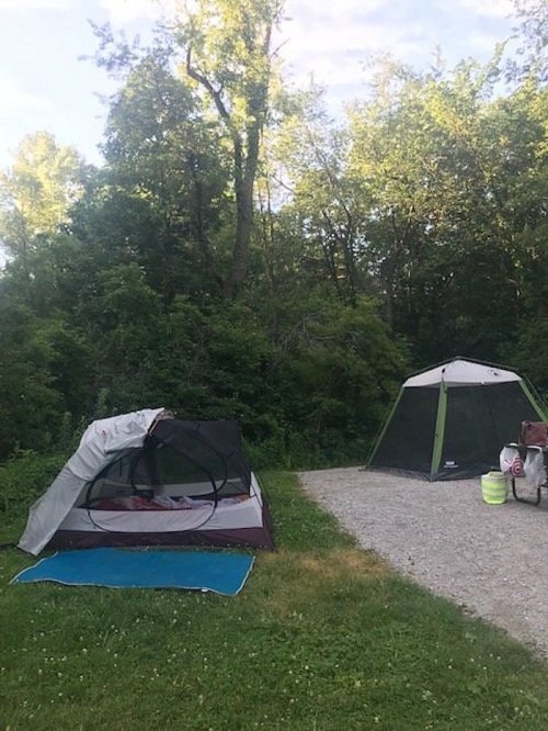 Two tents set up in a grassy area surrounded by trees, with a gravel path nearby.