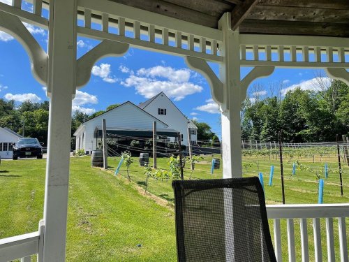 A view from a gazebo overlooking a vineyard and a white house under a blue sky with fluffy clouds.