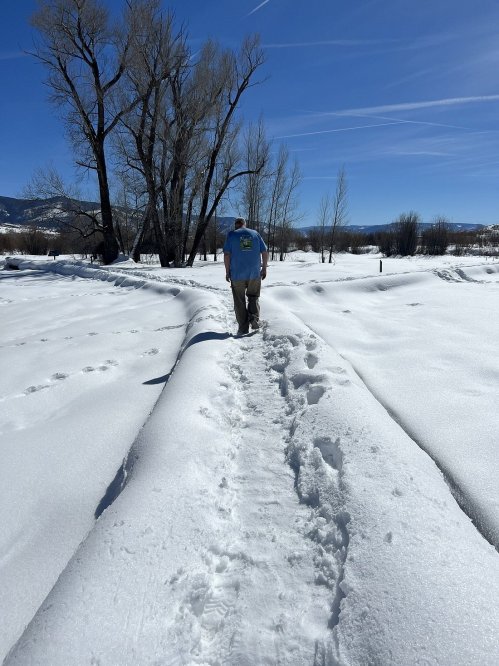 A person walks along a snow-covered path with trees in the background under a clear blue sky.