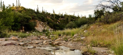 A serene desert landscape with a dry creek bed, scattered rocks, and cacti on a hillside under a cloudy sky.