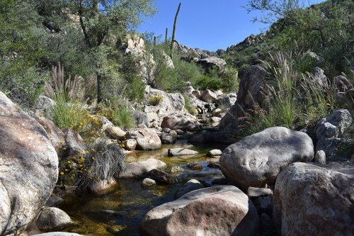 A serene stream flows through a rocky landscape, surrounded by lush greenery and desert vegetation under a clear blue sky.