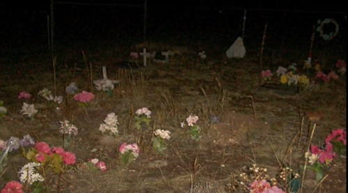 A dimly lit graveyard with various flowers and small crosses marking graves, surrounded by dry grass.