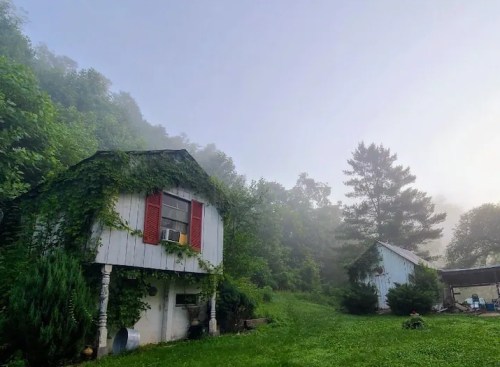 A misty landscape featuring two rustic houses surrounded by lush greenery and trees.