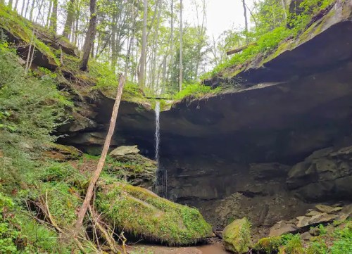 A serene waterfall cascades from a rocky overhang, surrounded by lush greenery and forested terrain.