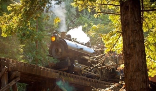 A vintage steam train chugs along a wooden trestle bridge surrounded by lush green trees.