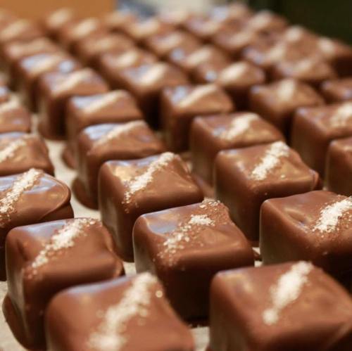 A close-up of neatly arranged chocolate squares, each topped with a sprinkle of salt.