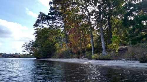 A serene shoreline with sandy beach, trees in autumn colors, and calm water under a partly cloudy sky.