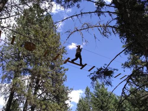 A person walks on a suspended wooden bridge among tall trees under a blue sky with scattered clouds.