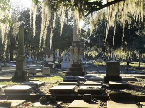 A serene cemetery scene with moss-draped trees, gravestones, and a peaceful atmosphere.