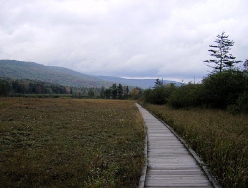 A wooden boardwalk leads through a grassy field, surrounded by trees and mountains under a cloudy sky.