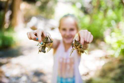 A girl holds two crabs in her hands, smiling, with a natural background of greenery and water.