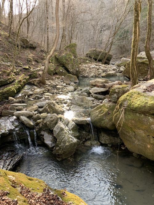 A serene stream flows through a rocky landscape, surrounded by trees and moss-covered boulders in a peaceful forest setting.