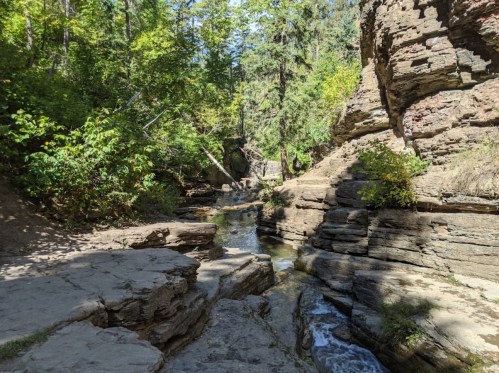A serene forest scene with rocky cliffs, a narrow stream, and lush greenery under bright sunlight.