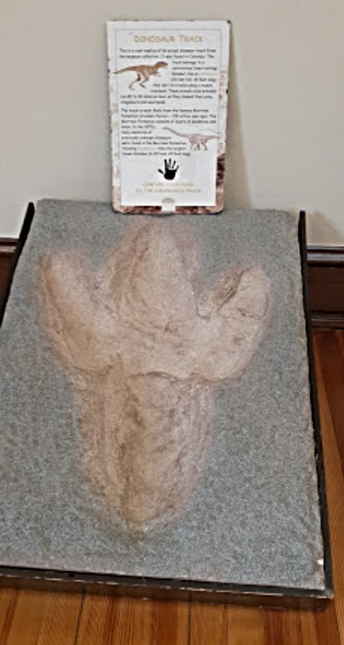 A dinosaur track displayed on a sandy surface, with an informational sign about dinosaurs nearby.