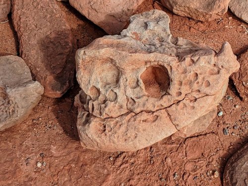 A weathered rock resembling a skull, surrounded by other stones on a reddish, sandy surface.