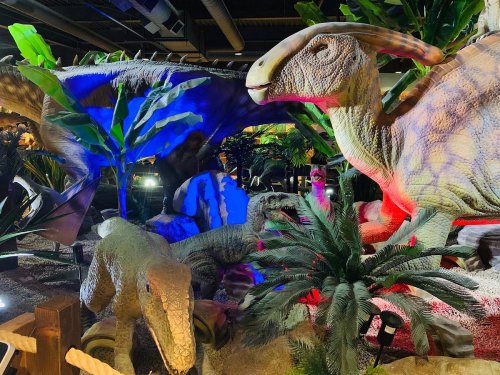 A vibrant display of life-sized dinosaur models surrounded by tropical plants and colorful lighting.