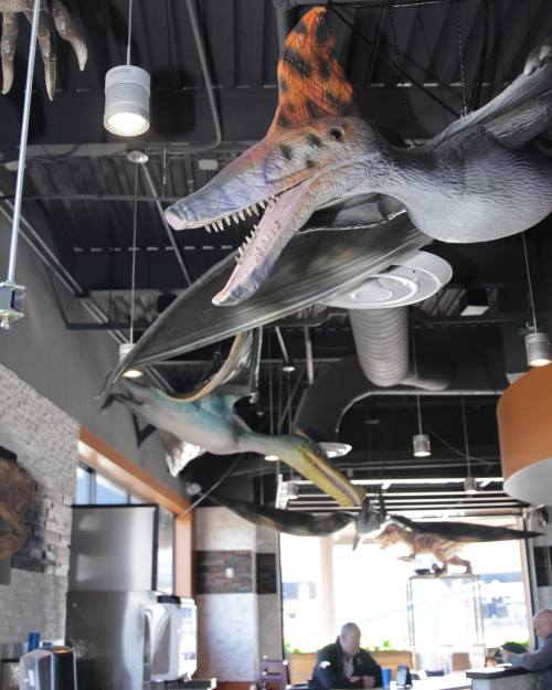 A restaurant interior featuring large dinosaur models hanging from the ceiling, with a person seated at a table below.