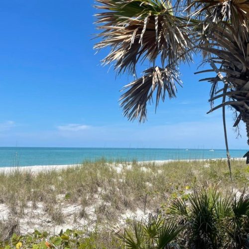 A serene beach scene with white sand, gentle waves, and a palm tree under a clear blue sky.