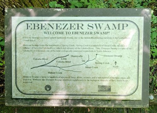 Map of Ebenezer Swamp, highlighting its location, rivers, and ecological significance in the Southern United States.