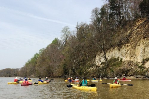 A group of kayakers in yellow kayaks paddles along a river, surrounded by trees and a rocky shoreline.