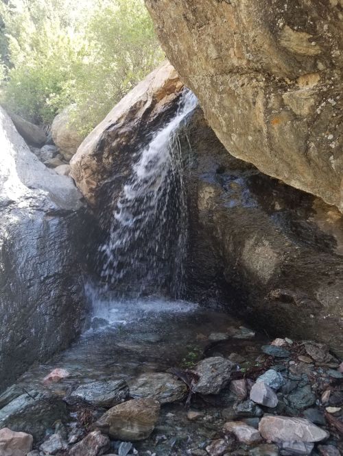 A small waterfall cascades over rocks in a serene, natural setting surrounded by greenery.