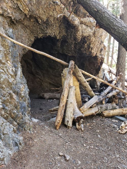 A rocky cave entrance surrounded by fallen logs and branches in a forested area.