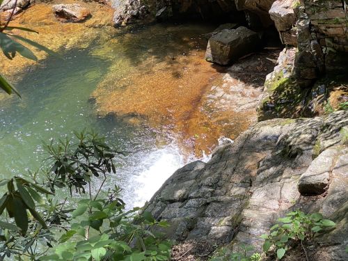 A serene natural scene featuring a rocky shoreline beside a clear, flowing stream surrounded by lush greenery.