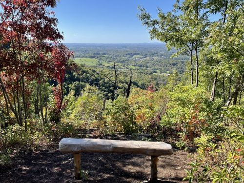 A wooden bench overlooks a scenic valley filled with trees and rolling hills under a clear blue sky.
