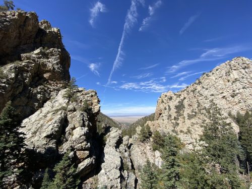 A scenic view of rocky cliffs and pine trees under a clear blue sky with wispy clouds.