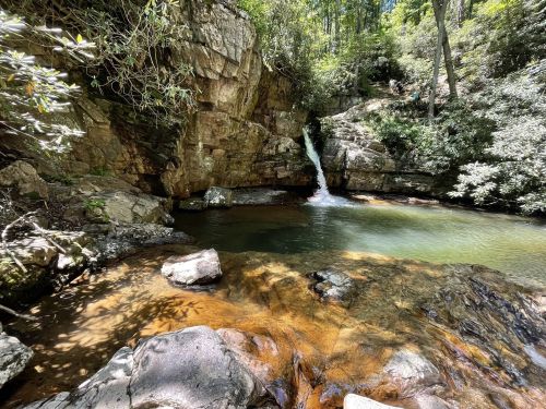 A serene forest scene featuring a small waterfall cascading into a clear pool surrounded by rocks and lush greenery.