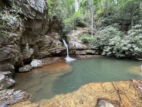 A serene natural scene featuring a small waterfall cascading into a clear pool surrounded by lush greenery and rocky terrain.
