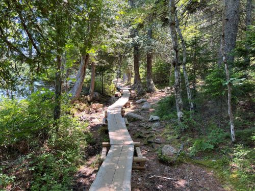 A wooden path winding through a lush forest, surrounded by trees and rocky terrain near a body of water.