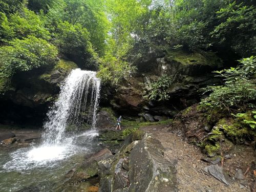 A person stands near a waterfall surrounded by lush greenery and rocky terrain in a serene forest setting.