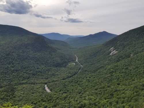 A panoramic view of a lush green valley surrounded by mountains under a cloudy sky. A winding river flows through the landscape.