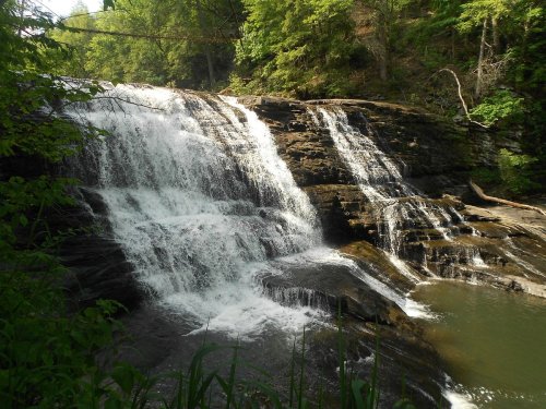 A serene waterfall cascading over rocky ledges into a calm pool, surrounded by lush green trees and foliage.