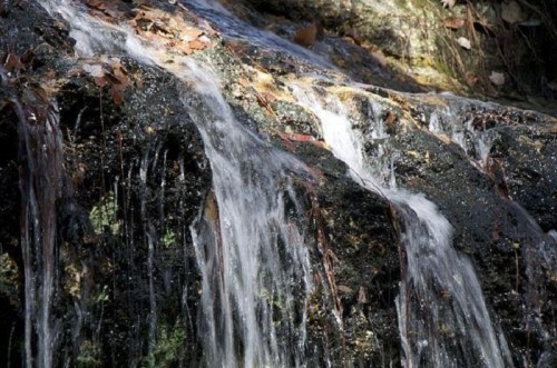 A close-up of a small waterfall cascading over rocky terrain, surrounded by autumn leaves.