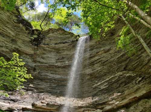 A waterfall cascades down rocky cliffs, surrounded by lush green trees and a bright blue sky.