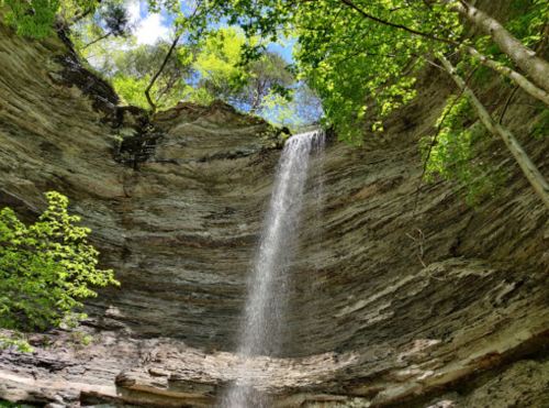 A waterfall cascades down rocky cliffs, surrounded by lush green trees and a bright blue sky.