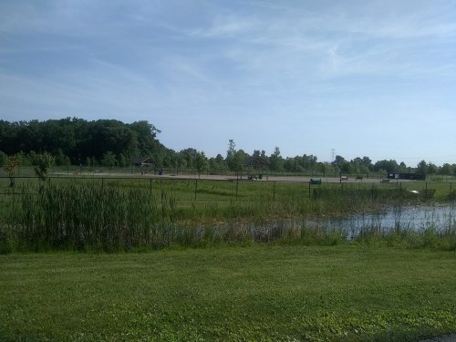 A grassy area with a pond, surrounded by trees and a fenced field in the background under a clear blue sky.