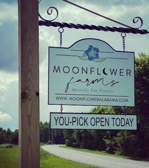 Sign for Moonflower Farms, offering specialty cut flowers with a "You-Pick Open Today" message. Green landscape in background.