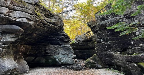 A narrow canyon with towering rock formations and autumn foliage above, creating a serene natural landscape.