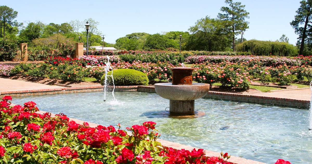 Best Rose Garden In Texas: Tyler Rose Garden In Smith County