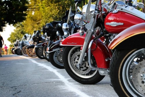 A row of parked motorcycles along a tree-lined street, showcasing various models and colors.