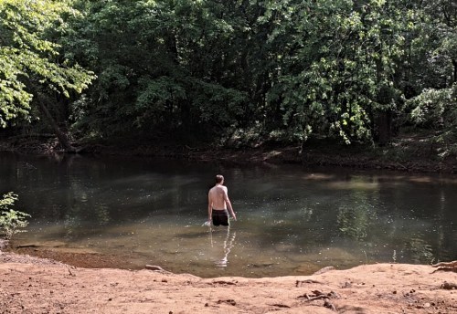 A person stands in shallow water surrounded by trees, enjoying a peaceful moment in nature.