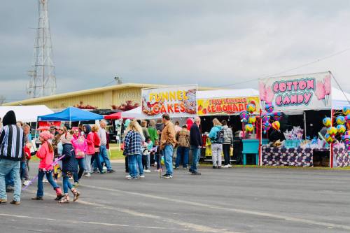 A lively fair scene with people enjoying food stalls selling funnel cakes and cotton candy under cloudy skies.