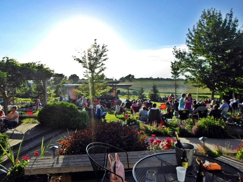 A lively outdoor event with a crowd enjoying music, surrounded by greenery and flowers under a bright sun.